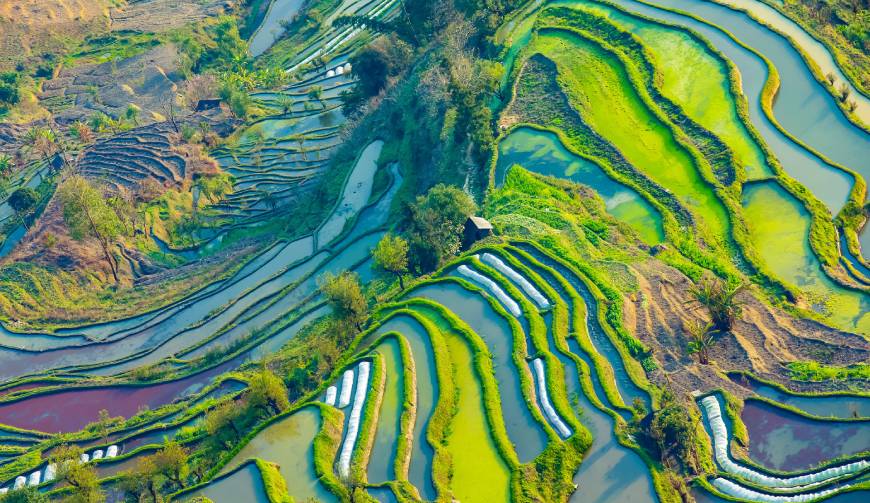 宝妈必备神器：西和县产品视频拍摄轻松育儿好帮手
