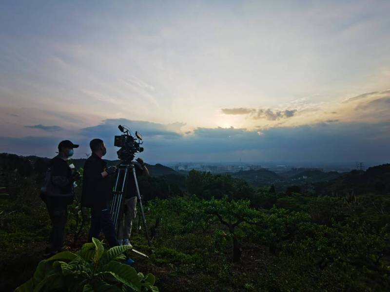 聚焦西和县产品宣传视频拍摄公司，用专业实力铸就品牌传播传奇